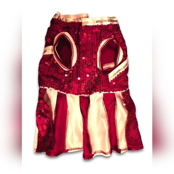 Small Dog Harness and Cheer Costume - Picture 4 of 8